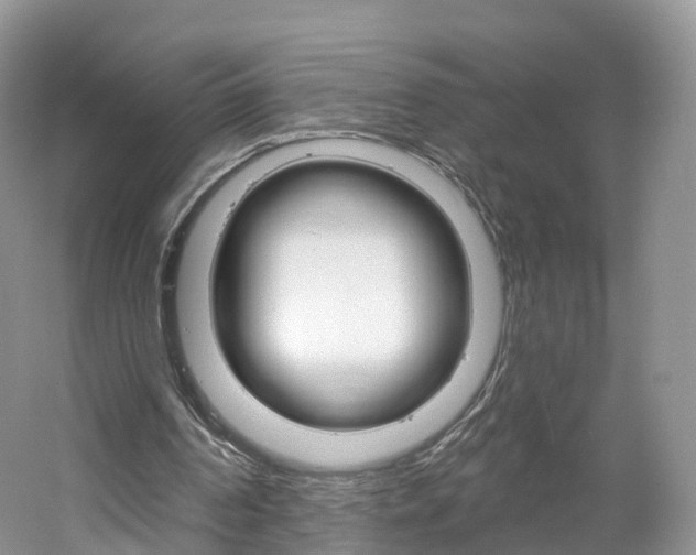 X0000061750194200512021121