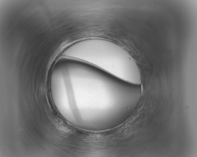 X0000061750195200512021121