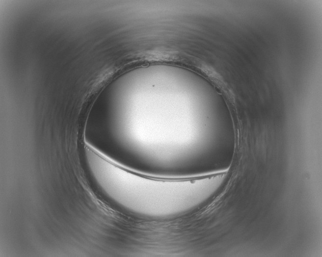 X0000061750201200512021121