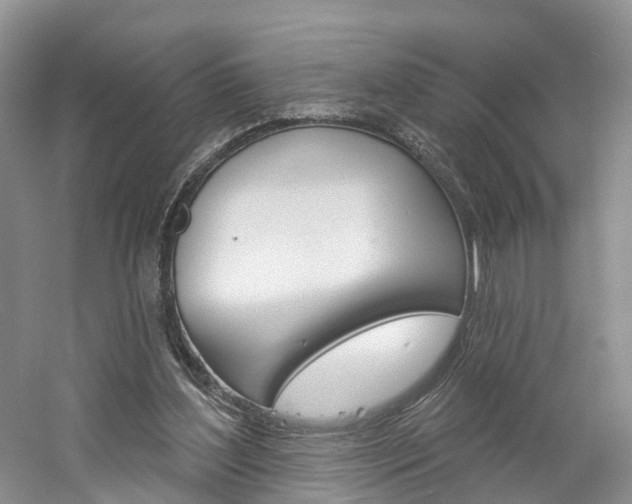 X0000061750204200512021121