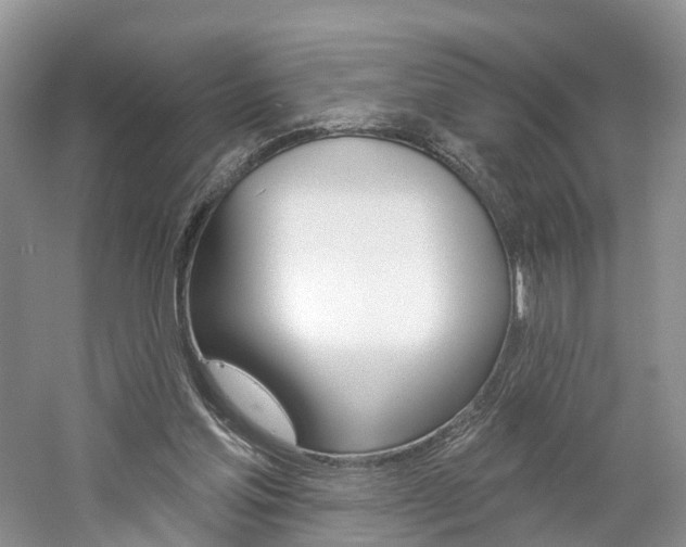X0000061750205200512021121