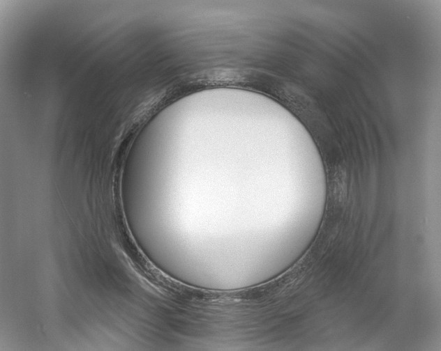 X0000061750206200512021121
