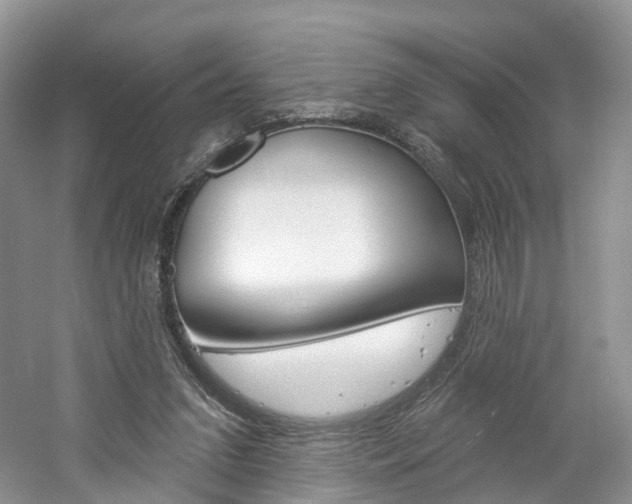 X0000061750207200512021121