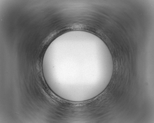 X0000061750208200512021121