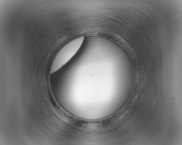 X0000061750209200512021121