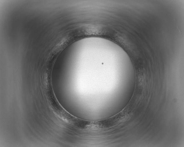 X0000061750211200512021121