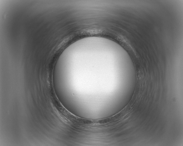 X0000061750212200512021121