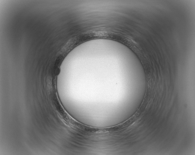 X0000061750213200512021121