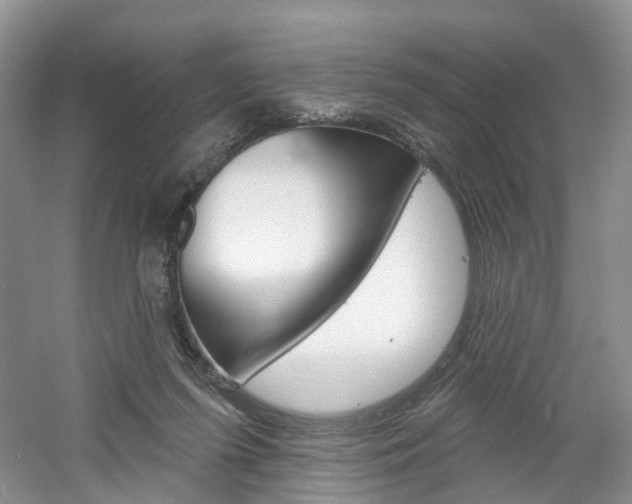X0000061750215200512021120