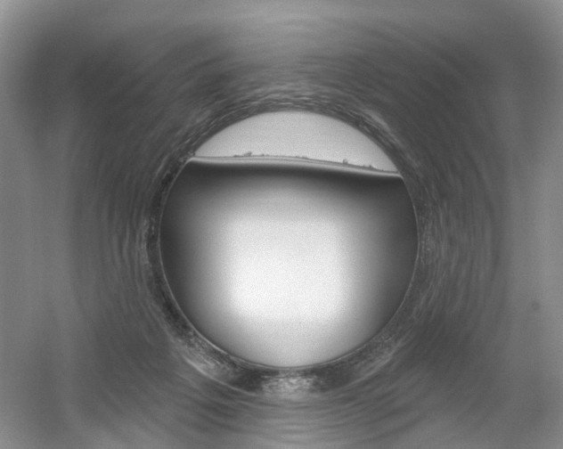 X0000061750217200512021120