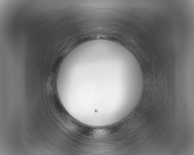 X0000061750218200512021120