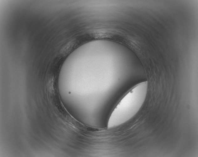 X0000061750219200512021120