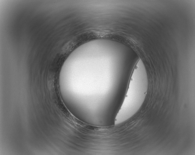 X0000061750221200512021120