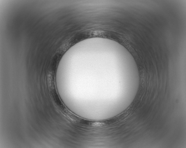 X0000061750222200512021120
