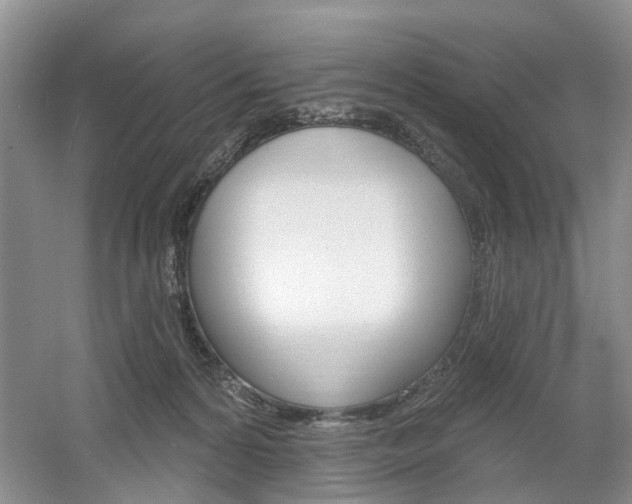 X0000061750224200512021120