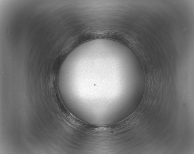 X0000061750225200512021120