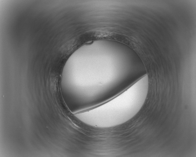 X0000061750227200512021120