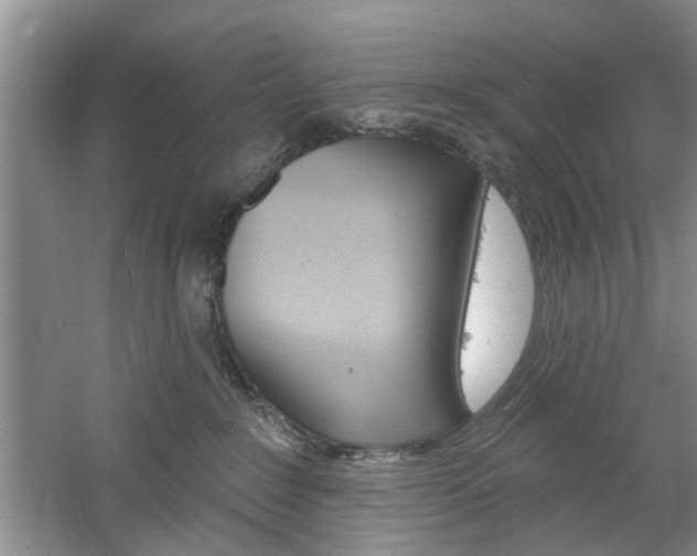 X0000061750235200512021120