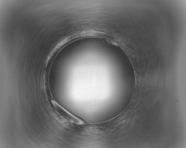 X0000061750244200512021119