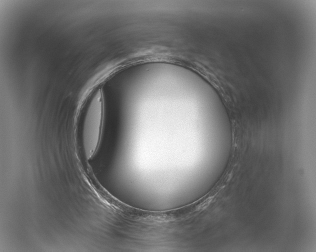 X0000061750245200512021119