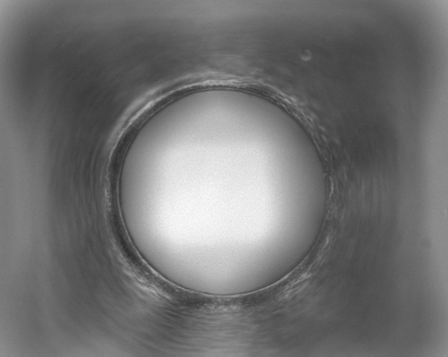 X0000061750247200512021119
