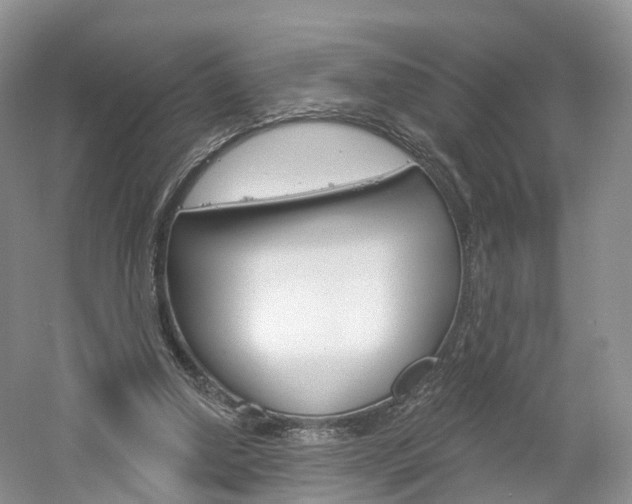 X0000061750250200512021119