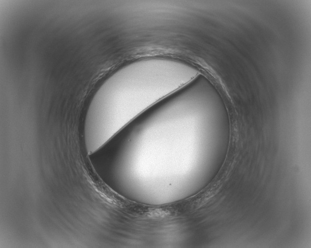 X0000061750257200512021119