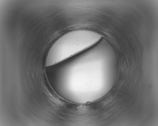 X0000061750261200512021120
