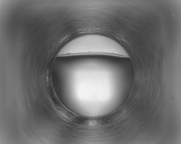 X0000061750264200512021120