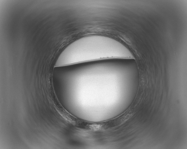 X0000061750265200512021120