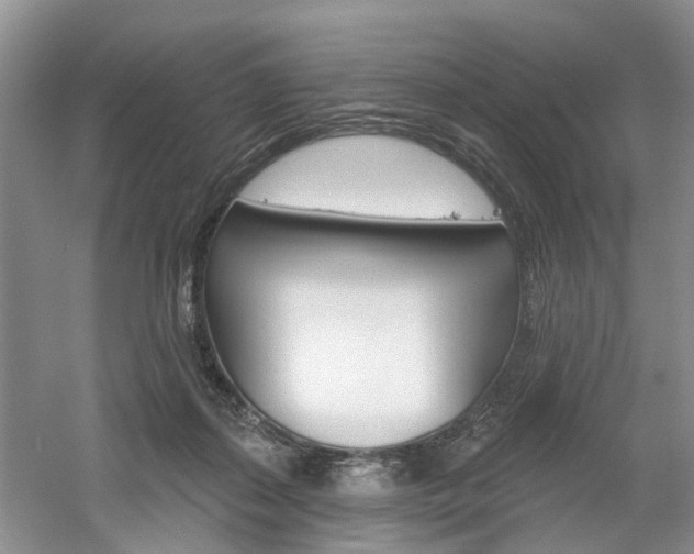X0000061750267200512021120