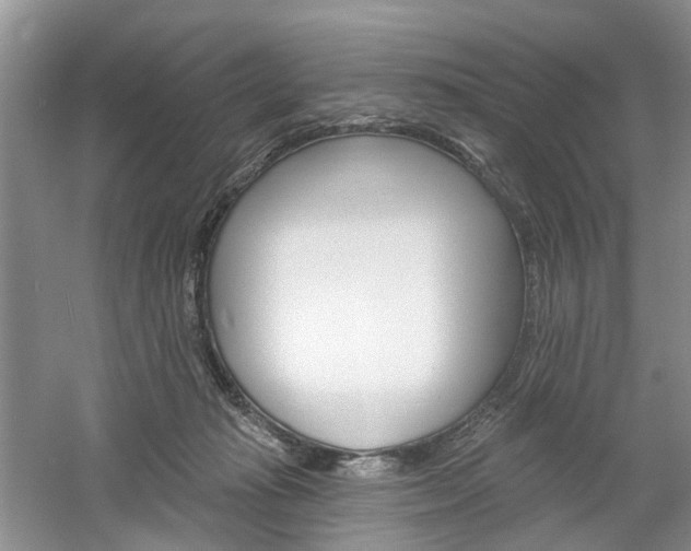 X0000061750269200512021120