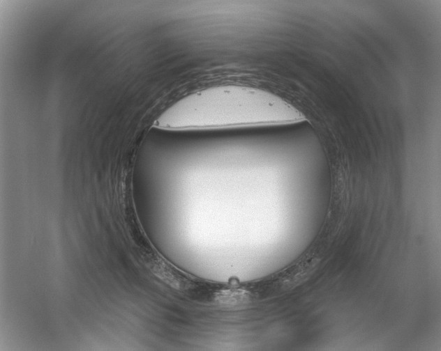 X0000061750271200512021120