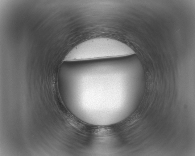 X0000061750274200512021120