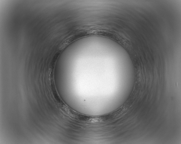X0000061750275200512021120