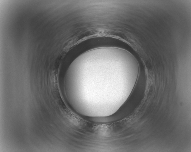 X0000061750276200512021120