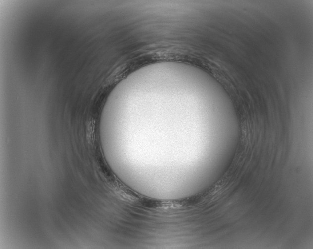 X0000061750278200512021120