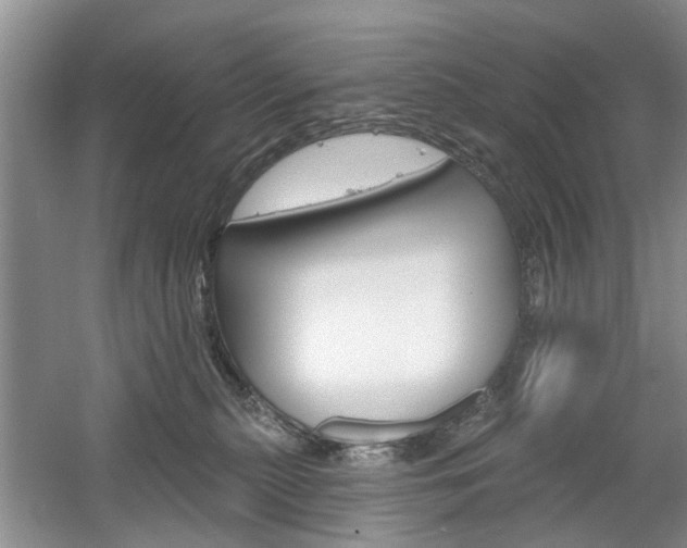 X0000061750279200512021120
