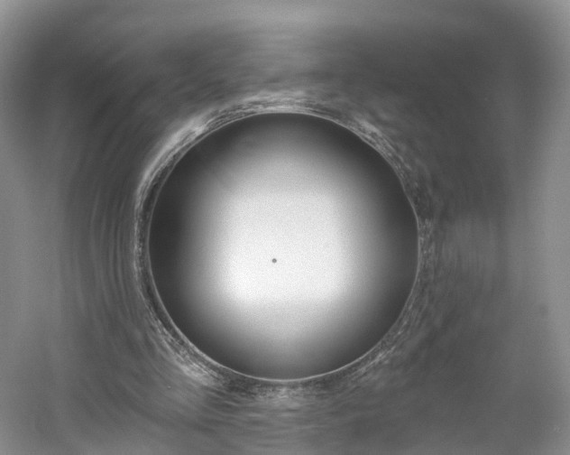 X0000061750293200512021119