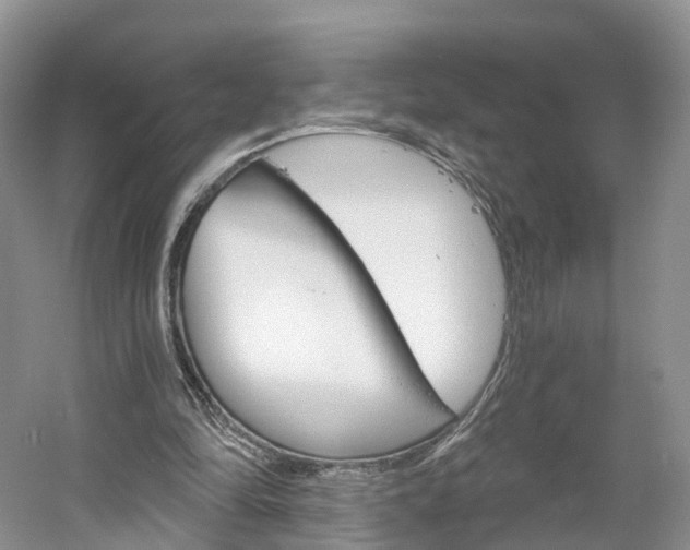 X0000061750294200512021119