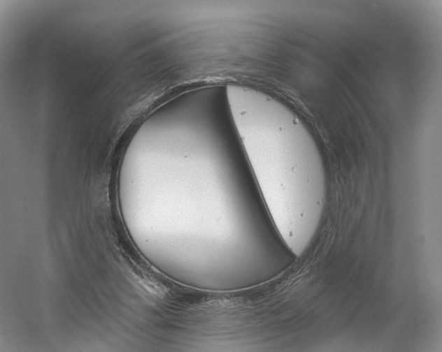 X0000061750299200512021119