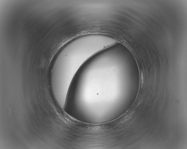 X0000061750301200512021119