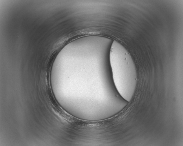 X0000061750302200512021119