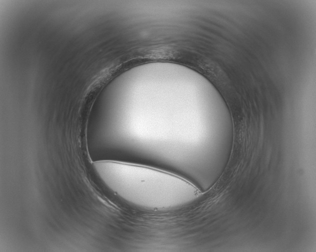 X0000061750303200512021119