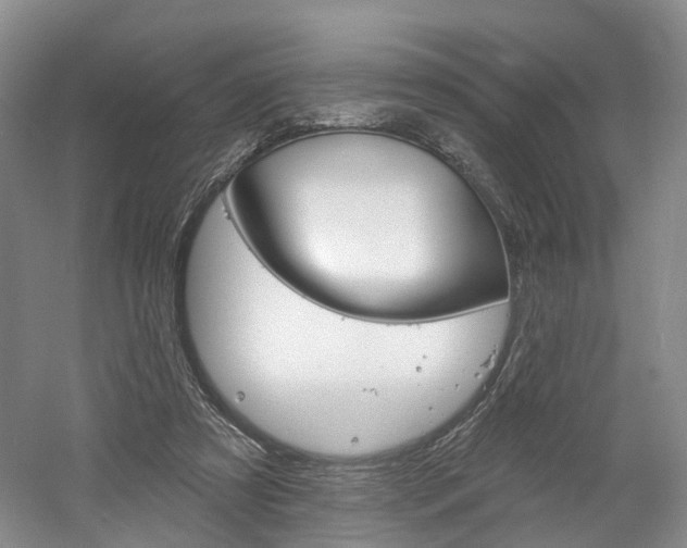 X0000061750305200512021119