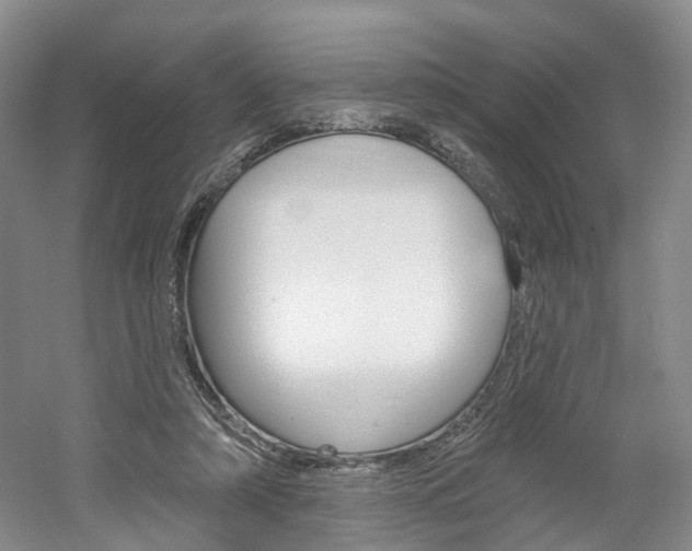 X0000061750306200512021119