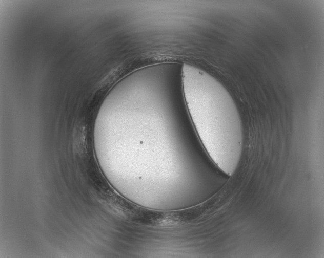 X0000061750308200512021119