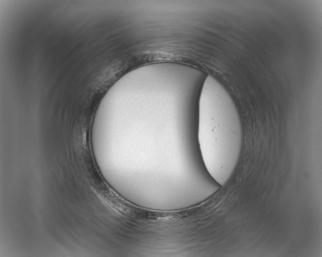 X0000061750310200512021119