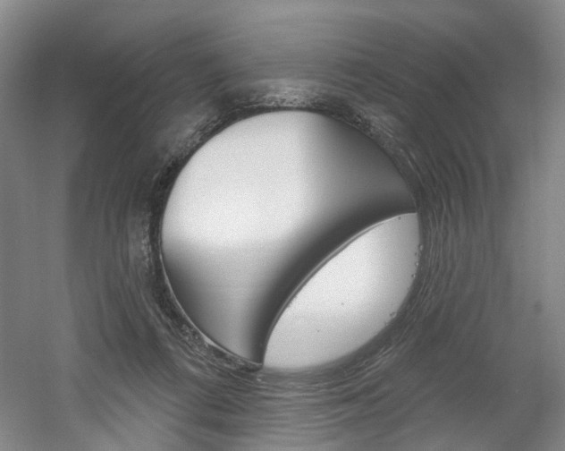 X0000061750312200512021119