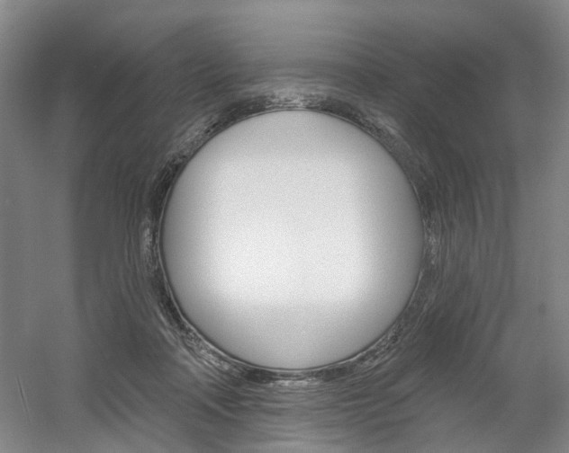 X0000061750314200512021119
